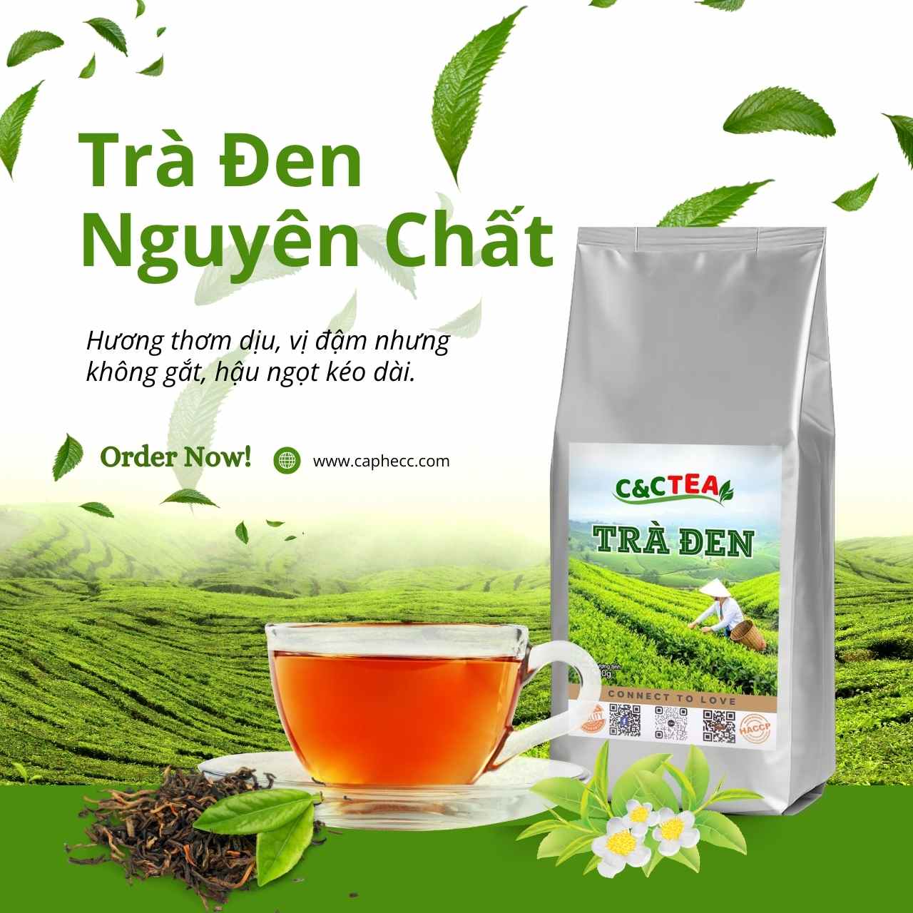 tra den hong tra (2)