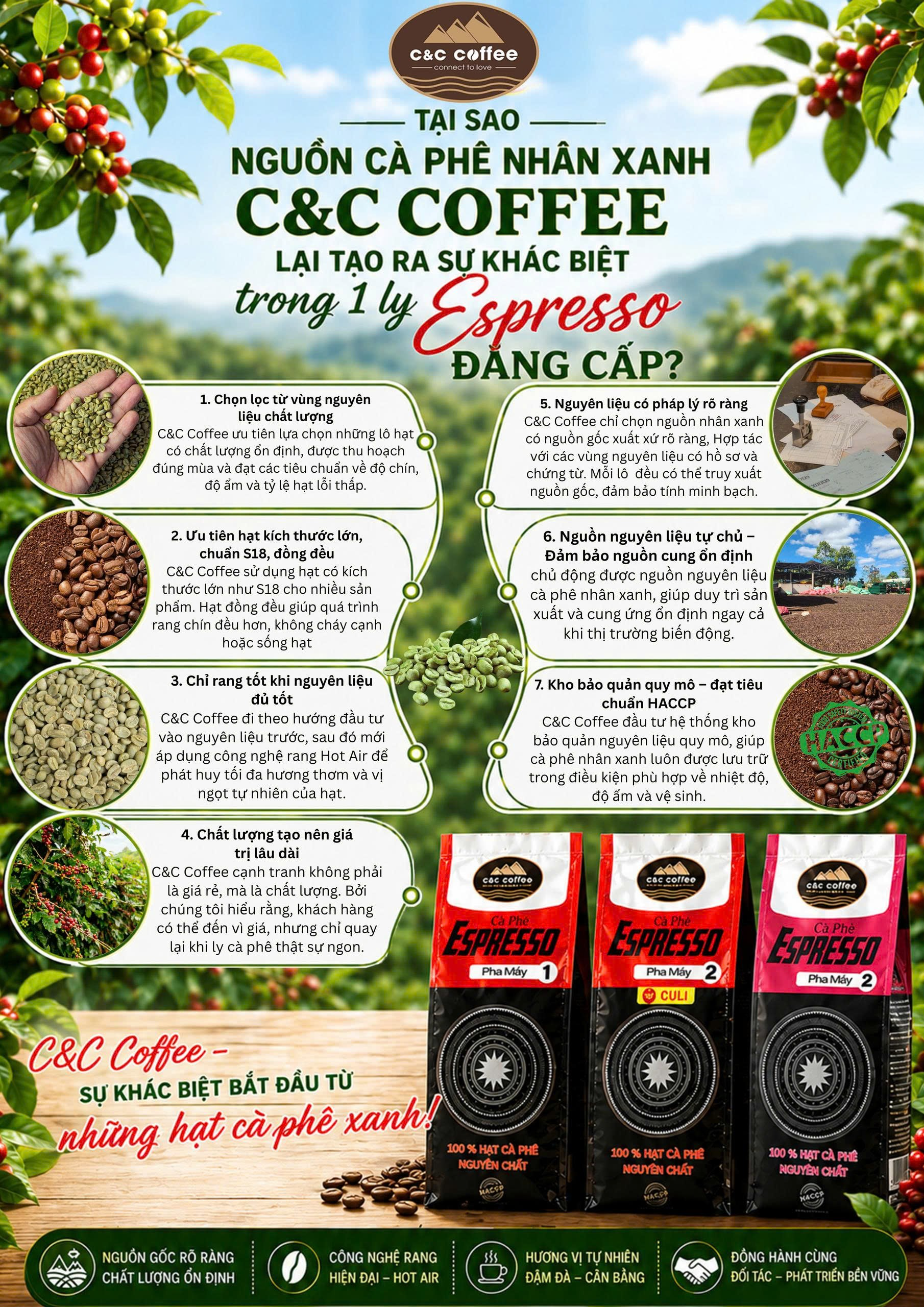 SỰ KHÁC BIỆT CỦA C&C COFFEE BẮT ĐẦU TỪ HẠT CÀ PHÊ NHÂN XANH