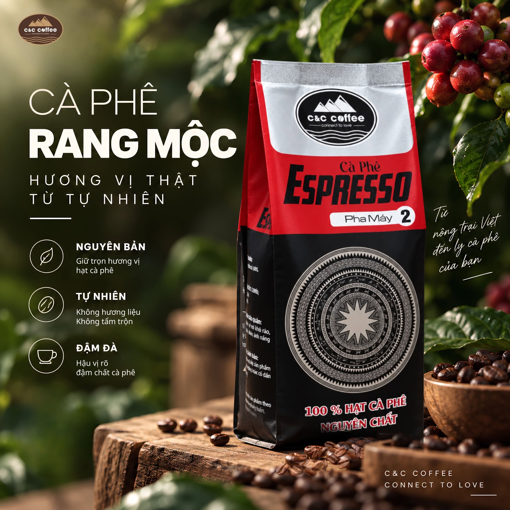 phân biệt cà phê rang mộc