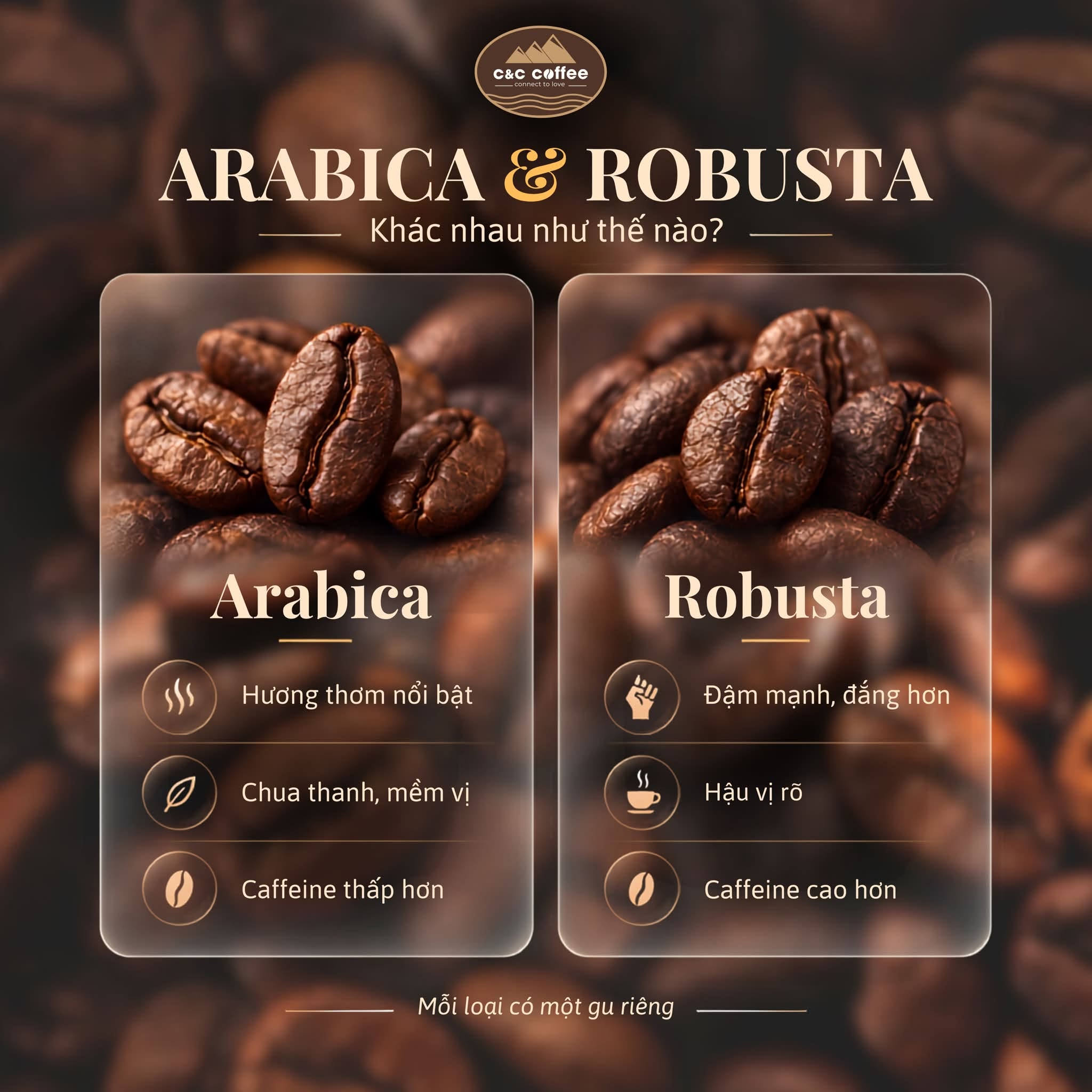arabica-va-robusta-khac-nhau-nhu-the-nao