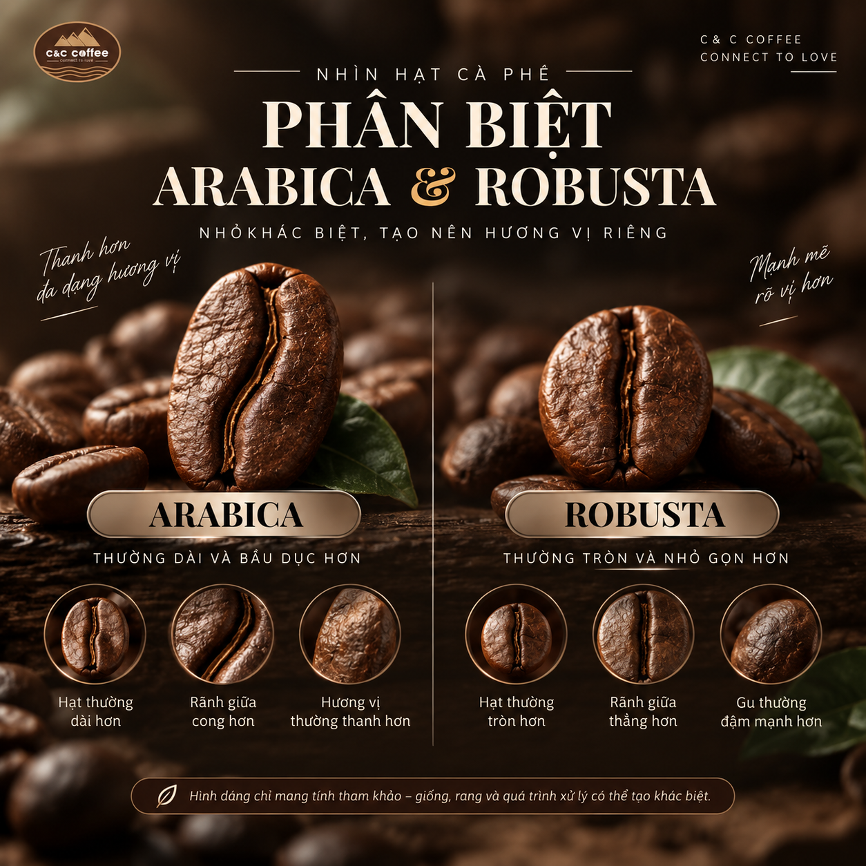 arabica-va-robusta-khac-nhau-nhu-the-nao