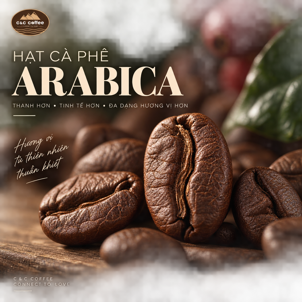 arabica-va-robusta-khac-nhau-nhu-the-nao
