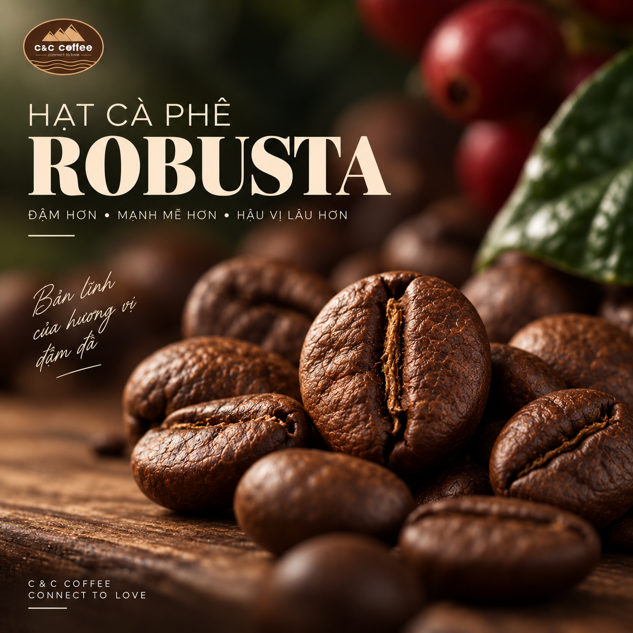 arabica-va-robusta-khac-nhau-nhu-the-nao