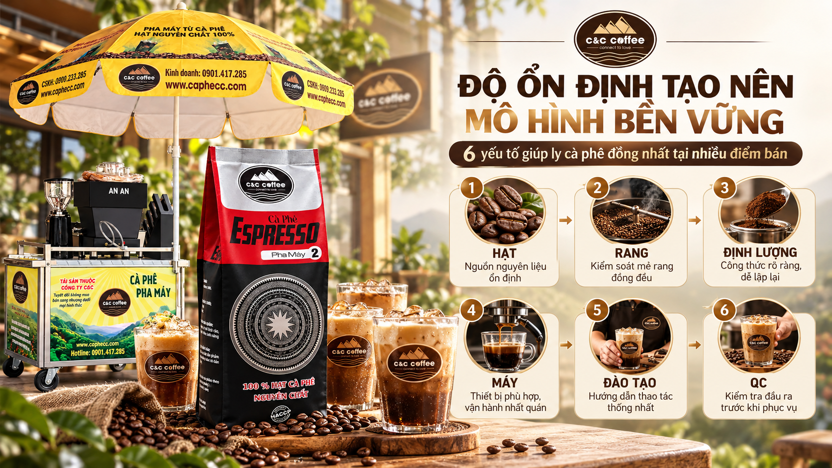 Infographic các yếu tố tạo độ ổn định gồm hạt, rang, định lượng, máy, đào tạo và QC