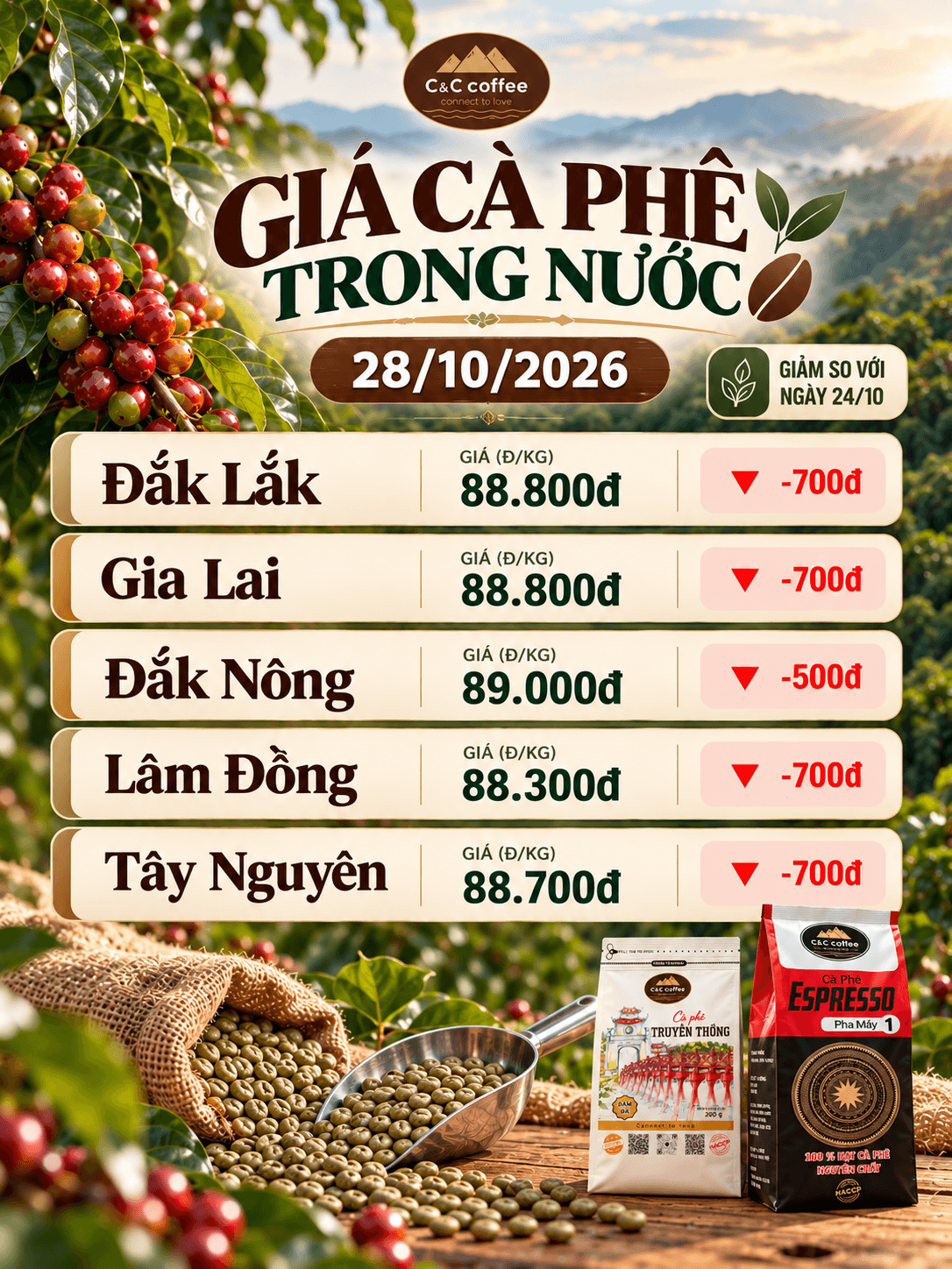 Giá cà phê hôm nay mới nhất ngày 28/10/2026