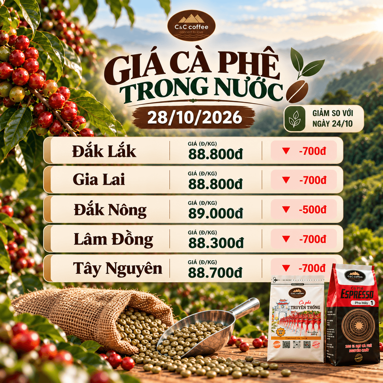 Giá cà phê hôm nay mới nhất ngày 28/10/2026