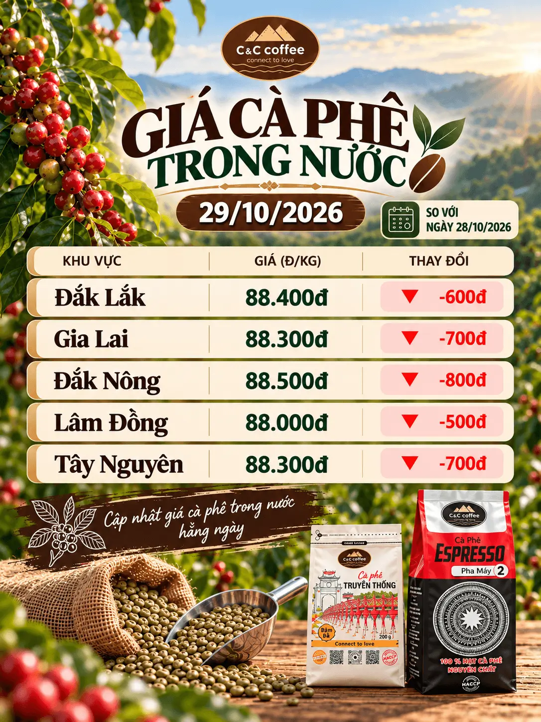 Giá cà phê hôm nay 29/10/2026