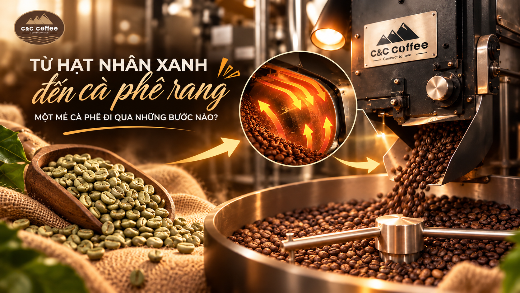 Hành trình từ hạt cà phê nhân xanh đến hạt rang thành phẩm